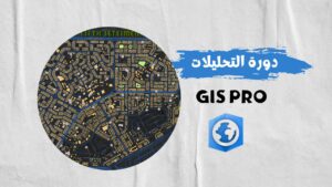 دورة تحليلات مكانية وشبكات