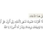 ENG _Sally Hassan